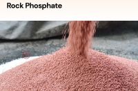 Rock Phosphate