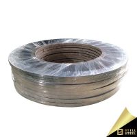 420 Stainless Steel Strip 0.1mm