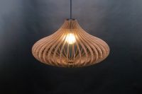 Wooden Pendant Light 2004