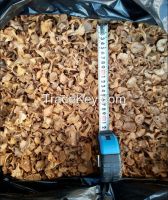 Dried Morchella | Dried Morel | Wild Mushrooms