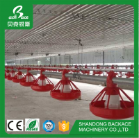 The Most Popular Chicken Farming Equipment