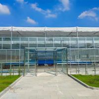 Agricultural Glass Commercial Greenhouse with hydroponic system