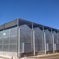 Polycarbonate Venlo Green House Greenhouse Agriculture