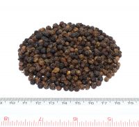 Vietnamese Black Pepper 570 G/L