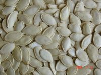 Best Shine-skin Pumpkin Seeds