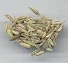 Best Fennel Seeds