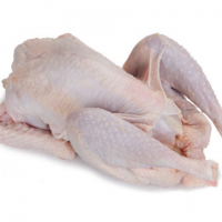 Frozen Chicken For Sale,Buy Frozen Chicken, Best Price Frozen Chicken, Wholesale Frozen Chicken