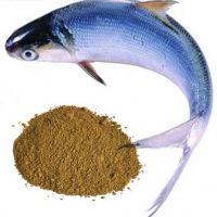 Fish Meal (65% & 72% Protein