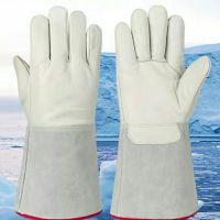 Low-temperature Resistant Gloves, Carbon Dioxide