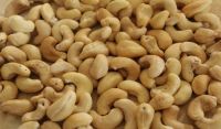 Cashew nuts kernel