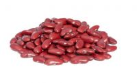 Kidney beans