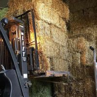 Excellent Quality Chickpea Straw Exporters And