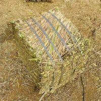 Top Quality Peanut Straw Exporters For