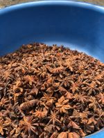 STAR ANISE