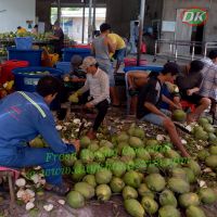 Ben Tre Fresh Coconut Sweet@Cheap (Whatsapp +84 769 026 486)