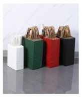 Colorful Kraft Retail Paper Bags With
