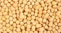 chickpeas