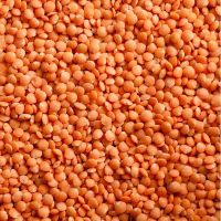 red lentils