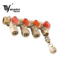 Brass Manifold