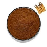 Cordyceps Extract