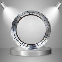 Factory Supply Double Roll Slewing Bearing