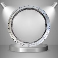 Swing Bearing Slewing Bearing Slew Circle