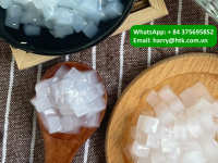 Nata de coco coconut jelly supplier Vietnam