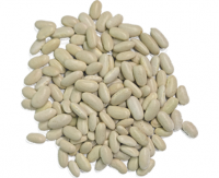 Premium Bean Selection â White Beans, Speckled Beans, and Salad Beans