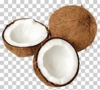 Fresh Coconut