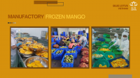 BEST PRICE HIGH QUALITY FROZEN MANGO VIETNAMESE FROZEN FRUIT KAEW MANGO IQF FROM BLUE LOTUS VIETNAM 2023