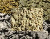 Sunflower And Rape Seed Cake For