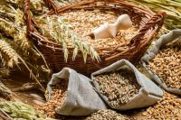 Organic Grain For Sale