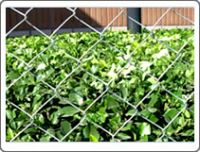 chain link fence