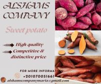 fresh sweet potato