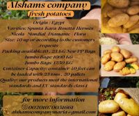 Fresh Potatoes