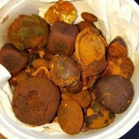 Cheap Gallstones - Cattle Ox Cow Gallstone