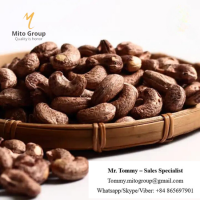 Free Samples Roasted Cashew Nuts 320 With Salt For Healthy Snack With BRC HACCP ISO FREE TAX