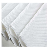 Spunlace Nonwoven for Wet Wipes Plain Viscose Polyesters White