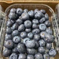 Fresh Blueberries, High Quality Blueberries, Fresh Blueberries Punnets