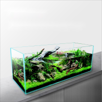 22 Gallon Clear Ultra-low Iron Glass Rimless Bookshelf Aquarium Tank , Reef Tank, 6mm