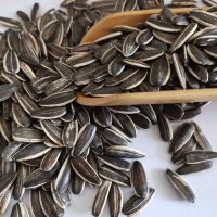 bulk sale sunflower seeds factory supply