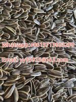 sunflower seeds 361 363 