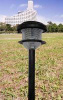 Wholesale  --- Solar plastic lights