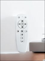 DXC-0017 13 Keys RF Remote