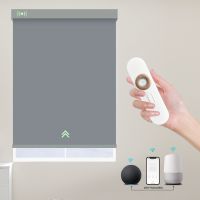 WiFi Tuya Remote Control Motorized Roller