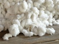 Raw Cotton 