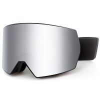Interchangeable Snowboard Goggles