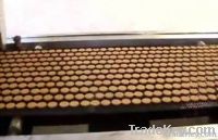 Automatic Biscuit Production Line