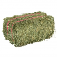 Super Top Quality Alfafa Hay for Animal Feeding Stuff Alfalfa / Timothy / Alfalfa Hay for Sale