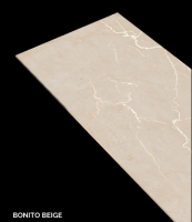 Ceramic Glazed Porcelian Tile